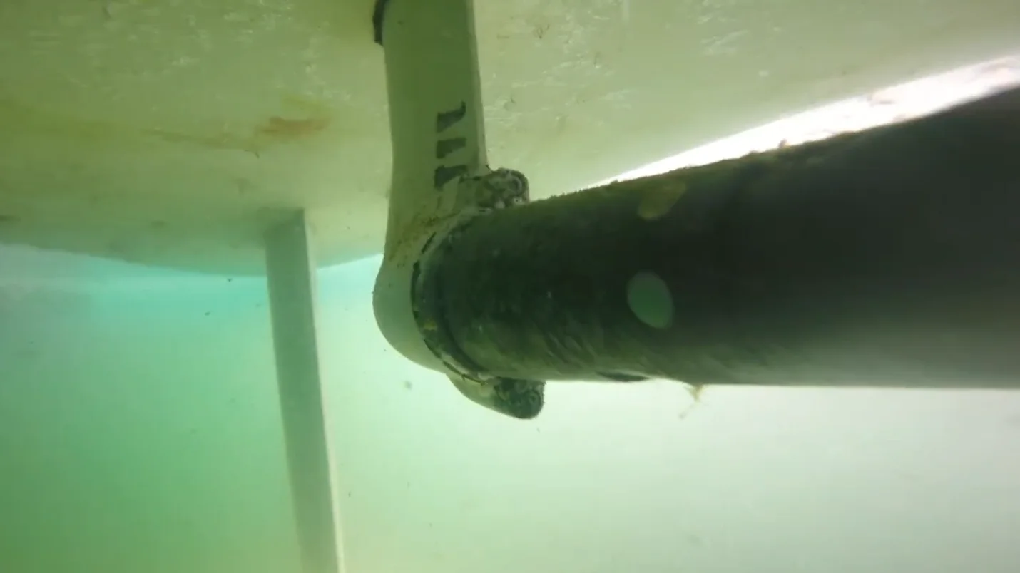 Diver clearing fouled propeller with rope wrapped around prop shaft in Victoria BC