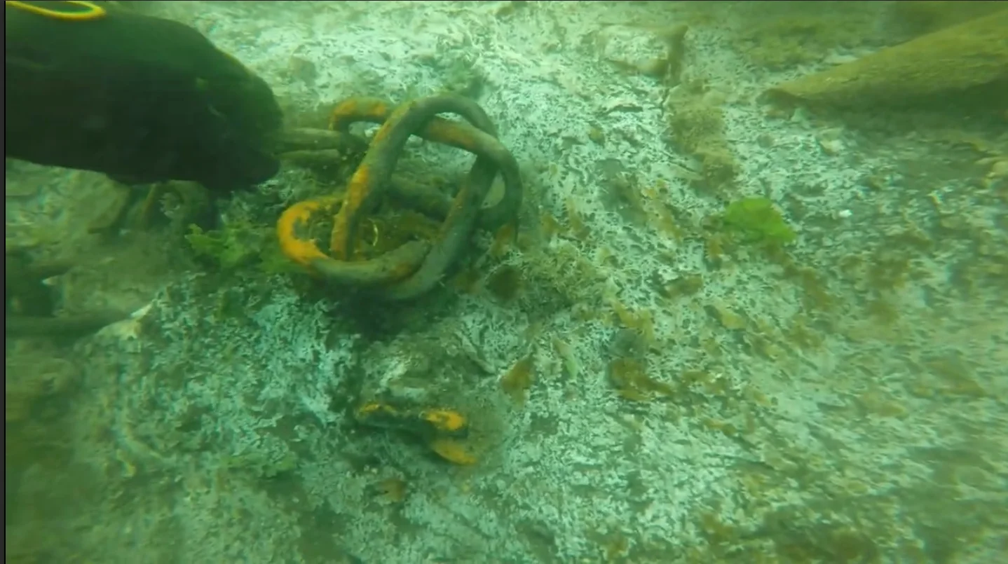 Diver inspecting a mooring chain and shackle underwater in Victoria BC