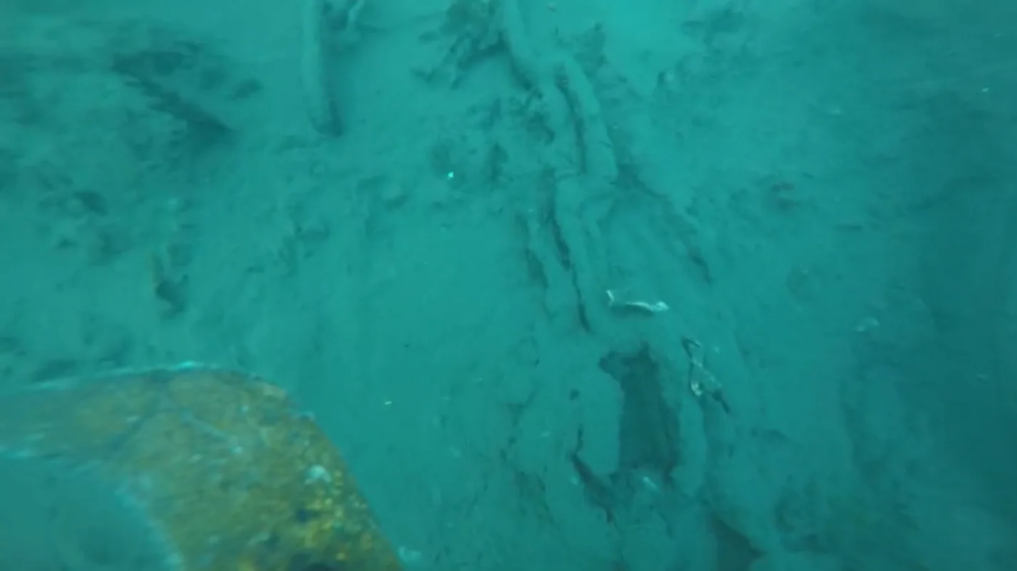 Diver searching for a lost phone on the sea floor off a Victoria BC dock